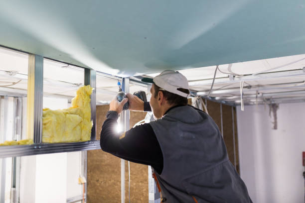 Best Spray Foam Insulation in Pearl River, LA