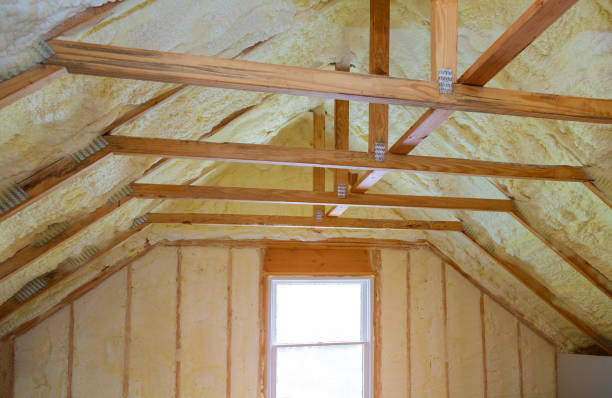 Best DIY Insulation Kits and Guidance in Pearl River, LA
