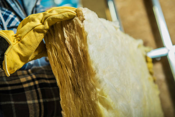 Best Spray Foam Insulation in Pearl River, LA
